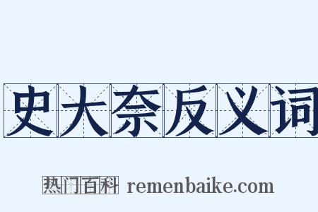 史大奈反义词是什么意思的图片